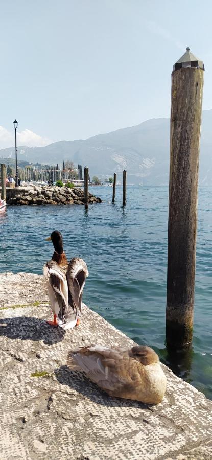 Riva Del Garda Nest Apartment Exterior foto